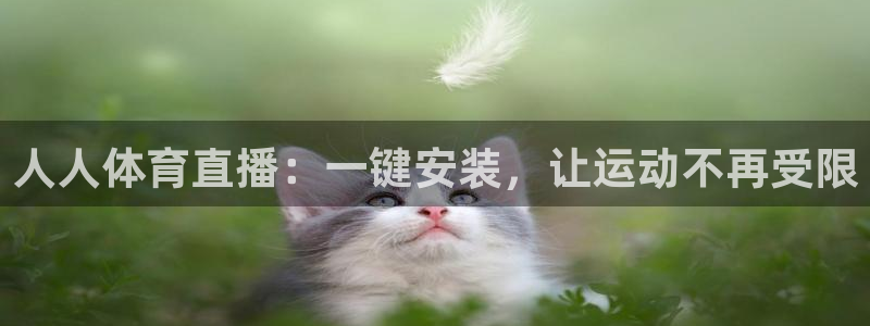 人人体育直播：一键安装，让运动不再受限