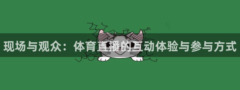 现场与观众：体育直播的互动体验与参与方式