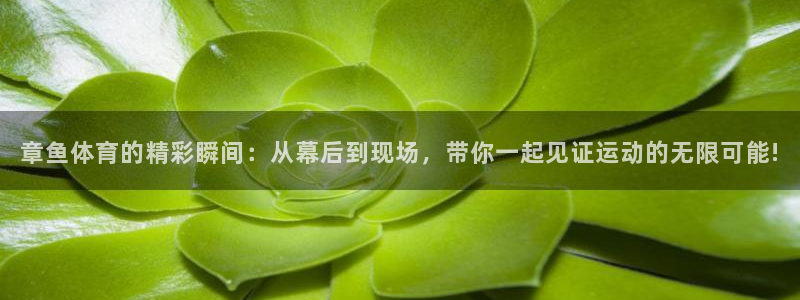 章鱼体育的精彩瞬间：从幕后到现场，带你一起见证运动的无限可能!