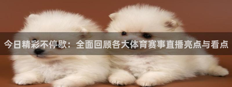 今日精彩不停歇：全面回顾各大体育赛事直播亮点与看点