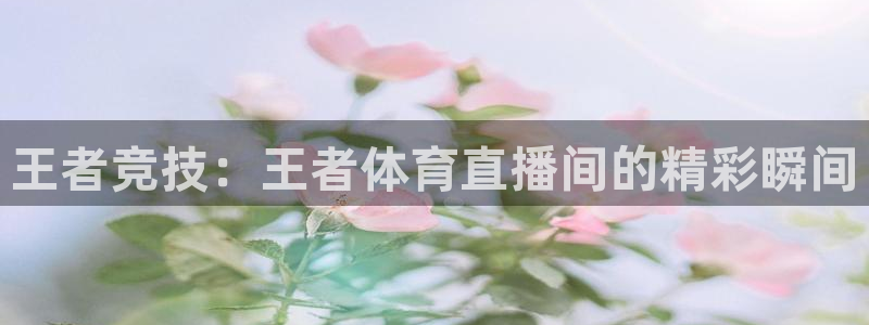 王者竞技：王者体育直播间的精彩瞬间