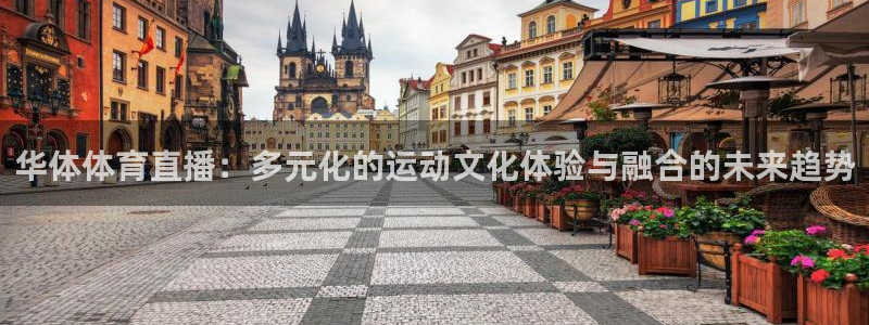 华体体育直播：多元化的运动文化体验与融合的未来趋势