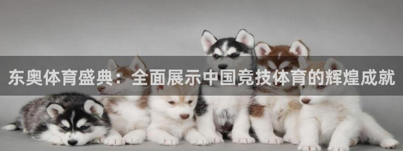 东奥体育盛典：全面展示中国竞技体育的辉煌成就