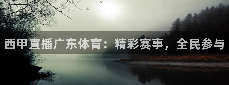 西甲直播广东体育：精彩赛事，全民参与