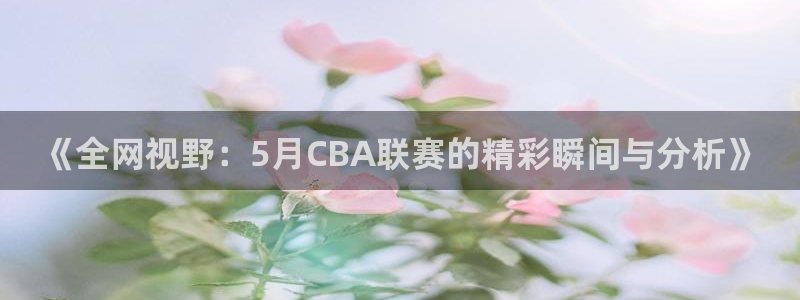 《全网视野：5月CBA联赛的精彩瞬间与分析》