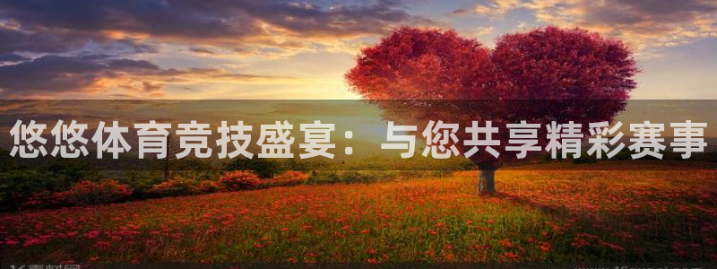悠悠体育竞技盛宴：与您共享精彩赛事