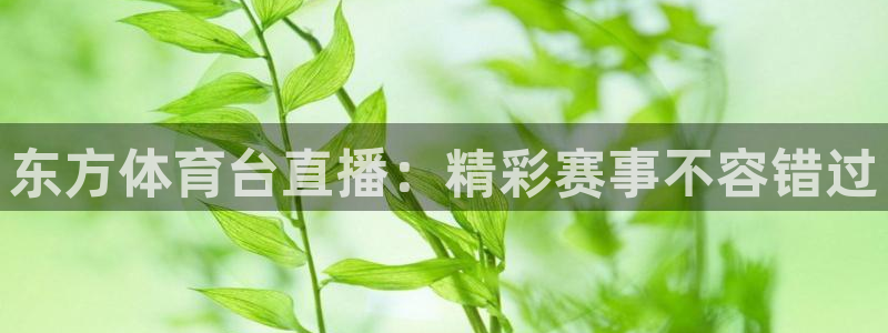 东方体育台直播：精彩赛事不容错过