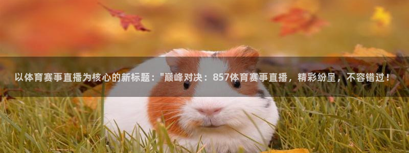 以体育赛事直播为核心的新标题：\