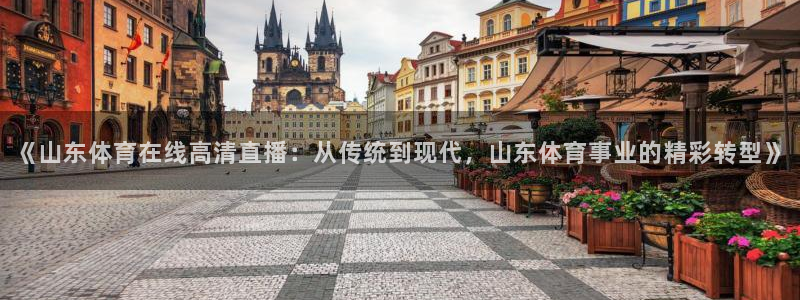 《山东体育在线高清直播：从传统到现代，山东体育事业的精彩转型》