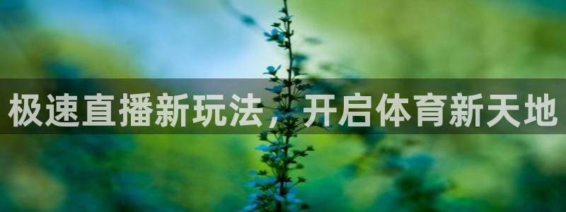 极速直播新玩法，开启体育新天地