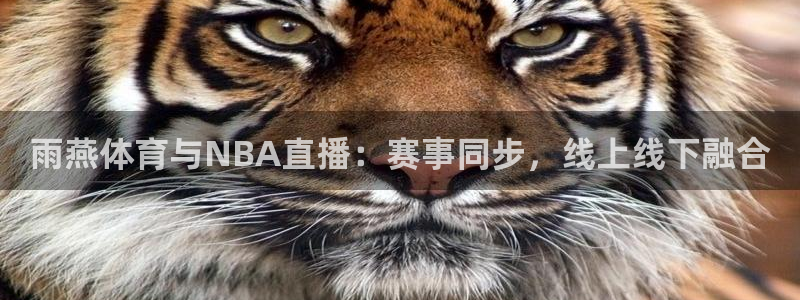雨燕体育与NBA直播：赛事同步，线上线下融合