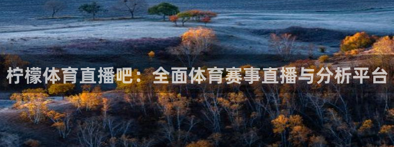 柠檬体育直播吧：全面体育赛事直播与分析平台