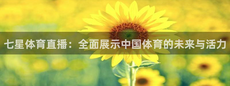 七星体育直播：全面展示中国体育的未来与活力
