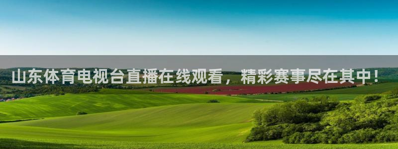 山东体育电视台直播在线观看，精彩赛事尽在其中！