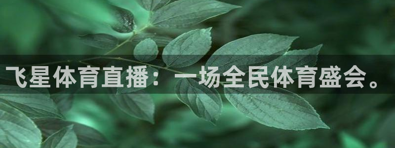 飞星体育直播：一场全民体育盛会。