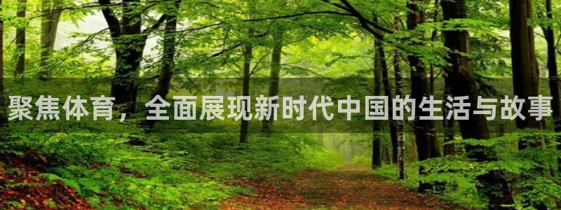 聚焦体育，全面展现新时代中国的生活与故事