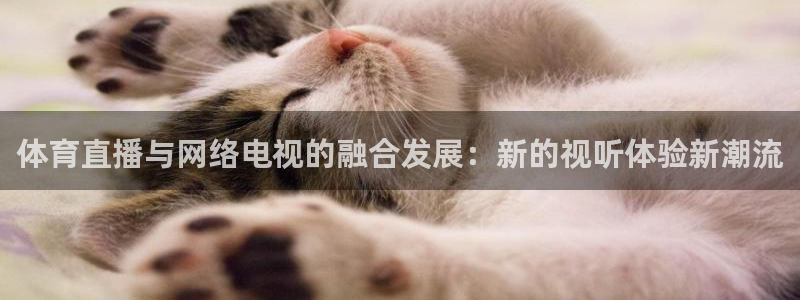 体育直播与网络电视的融合发展：新的视听体验新潮流