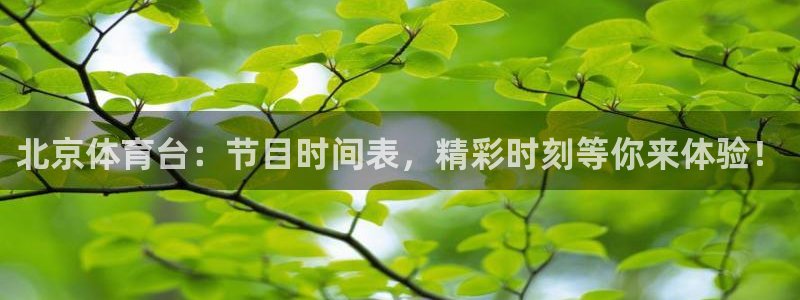 北京体育台：节目时间表，精彩时刻等你来体验！