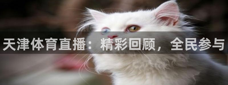 天津体育直播：精彩回顾，全民参与