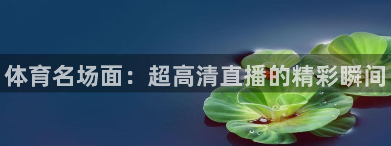 体育名场面：超高清直播的精彩瞬间