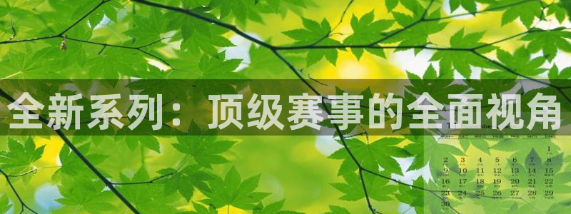 全新系列：顶级赛事的全面视角