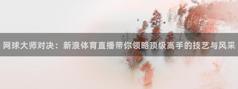网球大师对决：新浪体育直播带你领略顶级高手的技艺与风采