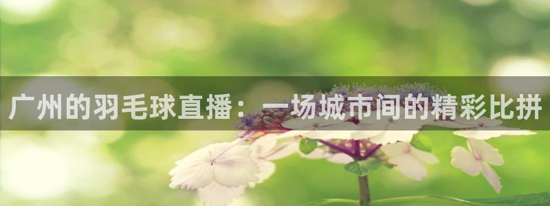 广州的羽毛球直播：一场城市间的精彩比拼