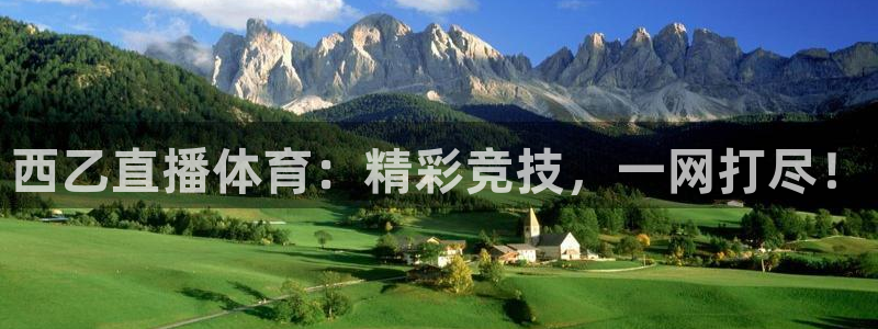西乙直播体育：精彩竞技，一网打尽！