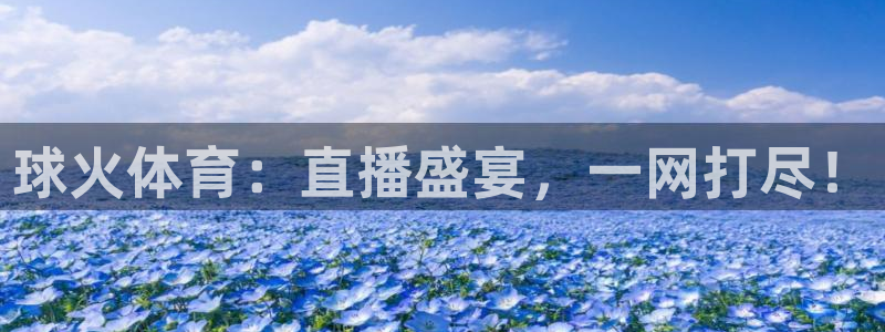 球火体育：直播盛宴，一网打尽！