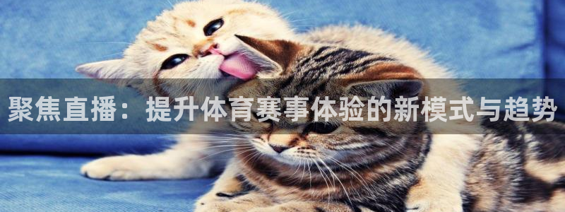 聚焦直播：提升体育赛事体验的新模式与趋势
