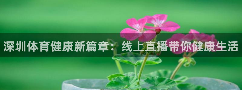 深圳体育健康新篇章：线上直播带你健康生活